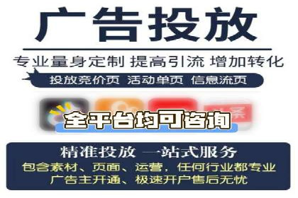 百度竞价广告投放的ROI优化：经典案例分享
